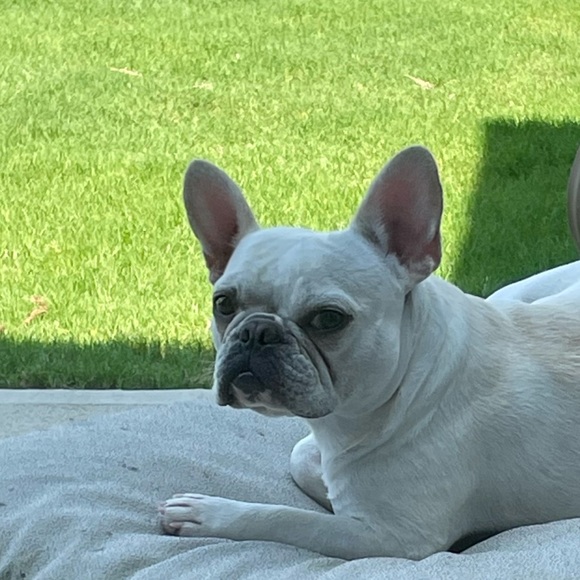 Meet your Posher, Debbie - Picture 2 of 2